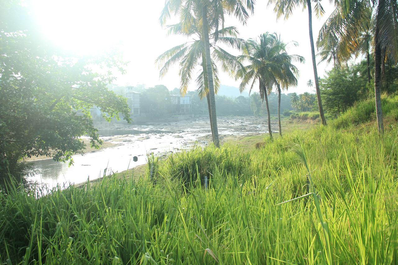 Ma Oya Retreat Pinnawala Pinnawala (Kegalle) Extérieur photo